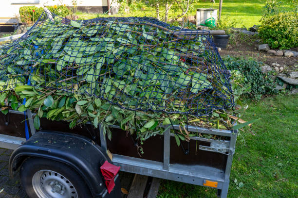 Best Shed Removal  in Delevan, NY